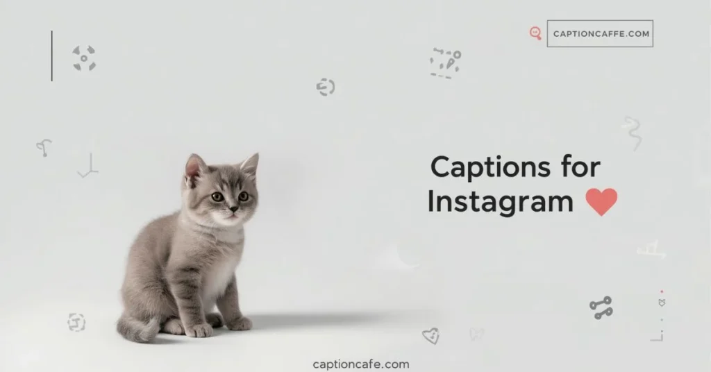Short Cat Captions for Instagram