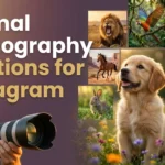 Animal Photography Captions