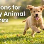 Captions for Funny Animal Pictures
