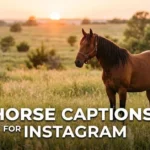 horse captions for instagram