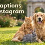 Pet captions for instagram