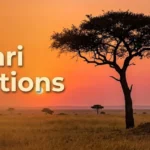 Safari captions